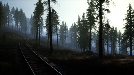 Nationales-Walderholungsgebiet-Und-Der-Nebel-Mit-Eisenbahn